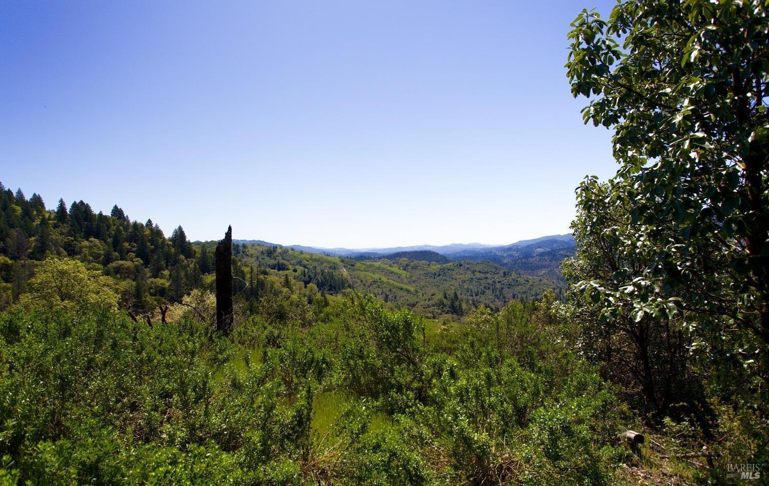 53310 Highway 101 Highway Laytonville CA 95454