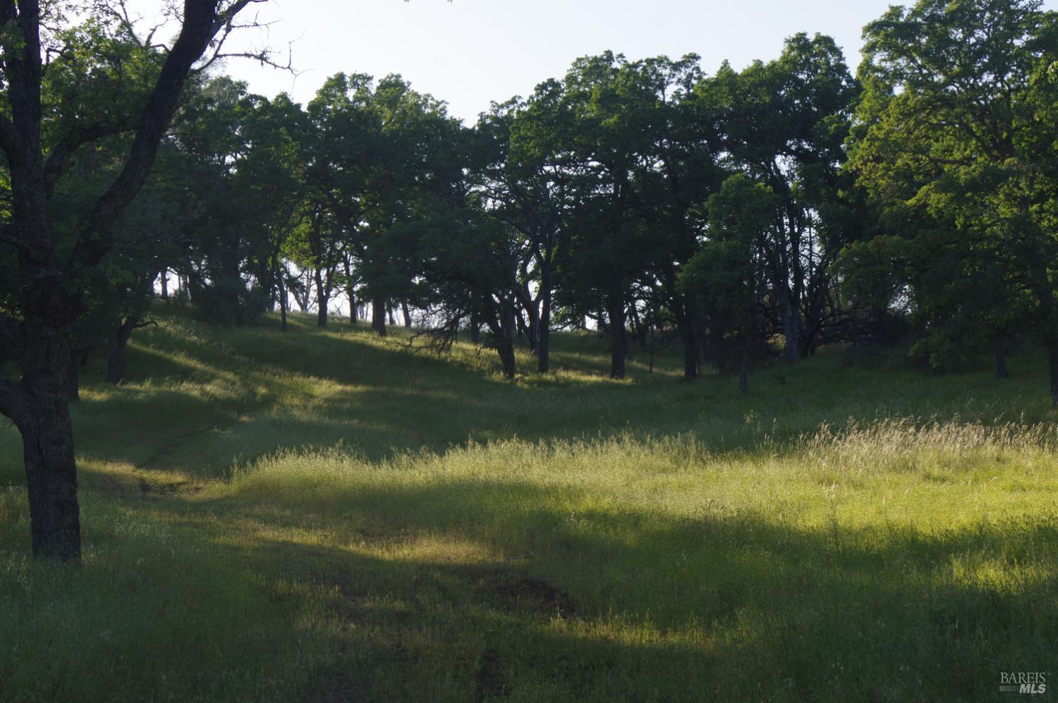 0 Knoxville Road Napa CA 94558