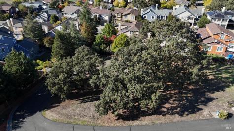 1960 Cooper Drive Santa Rosa CA 95404