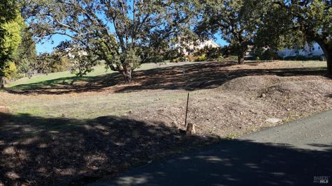 1960 Cooper Drive Santa Rosa CA 95404