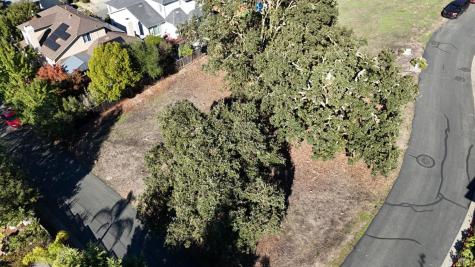 1960 Cooper Drive Santa Rosa CA 95404