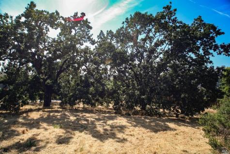 1960 Cooper Drive Santa Rosa CA 95404