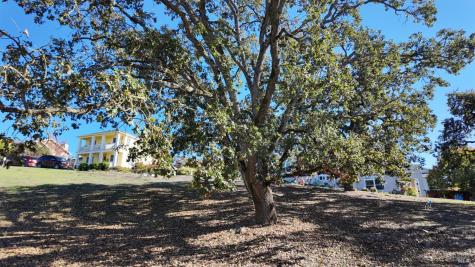 1960 Cooper Drive Santa Rosa CA 95404