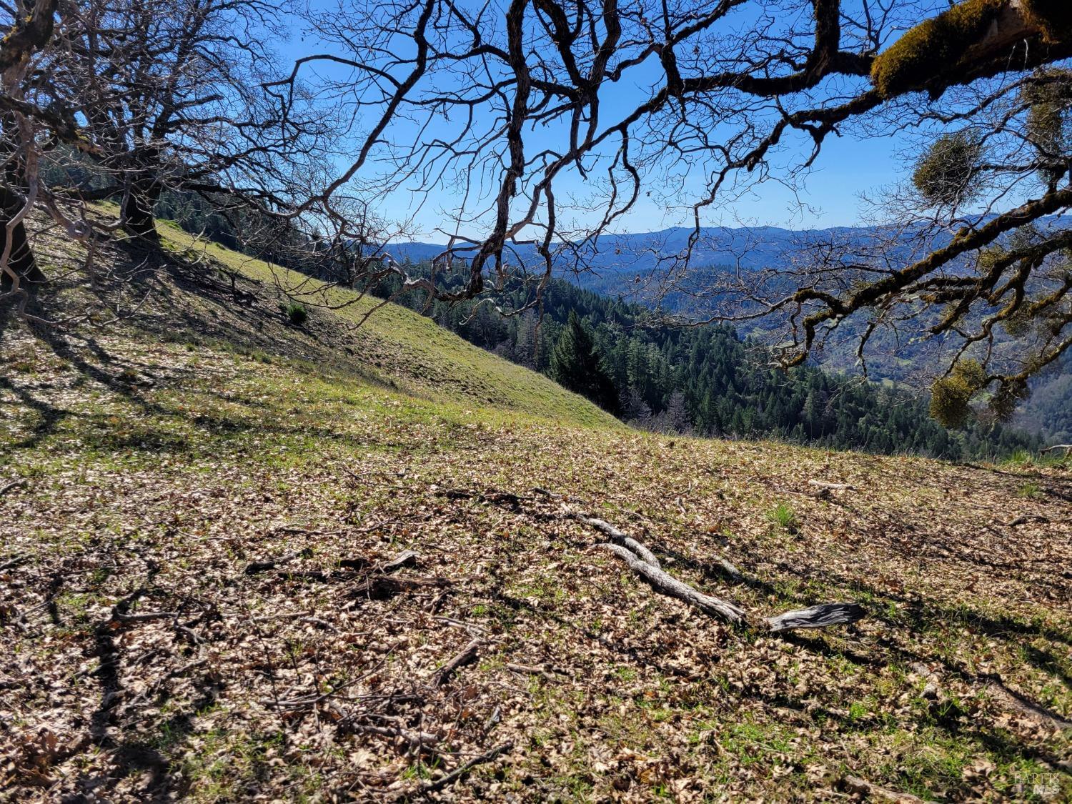 43281 Covelo Road Willits CA 95490