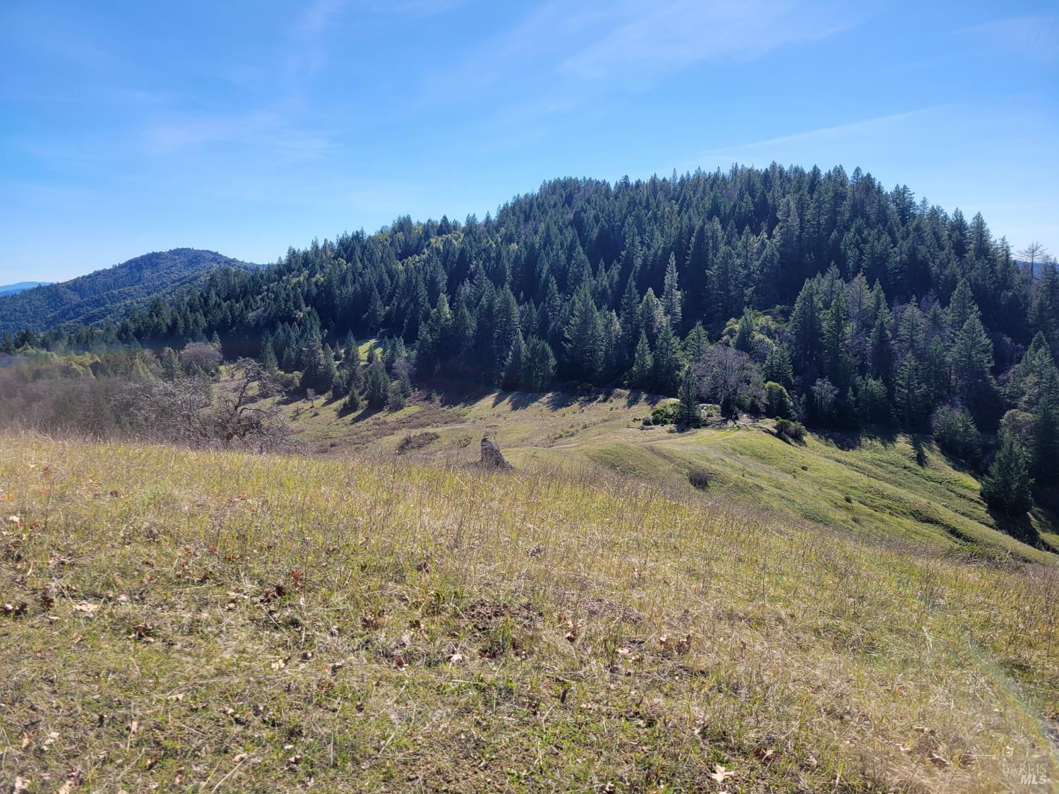 43281 Covelo Road Willits CA 95490