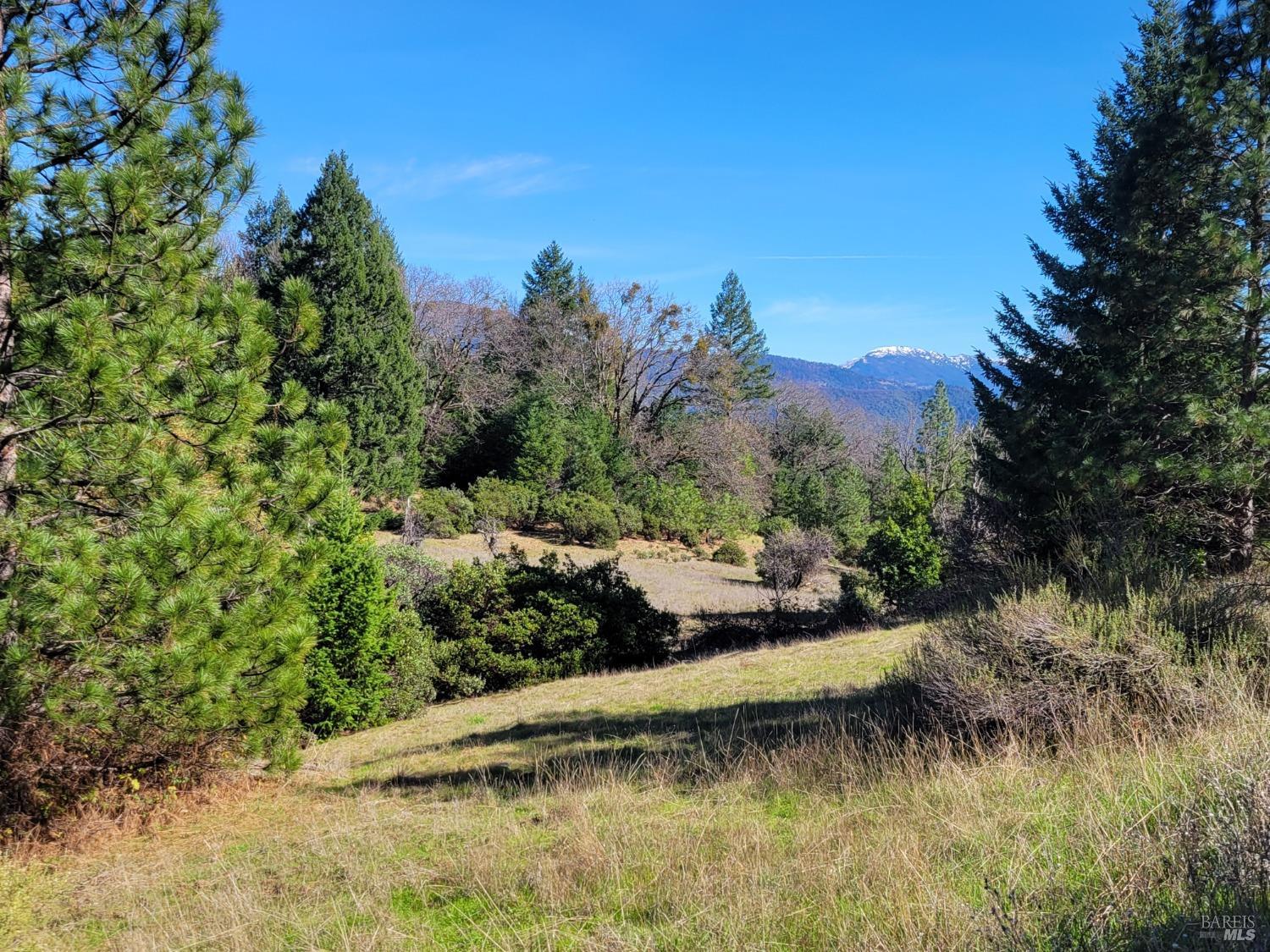 43281 Covelo Road Willits CA 95490