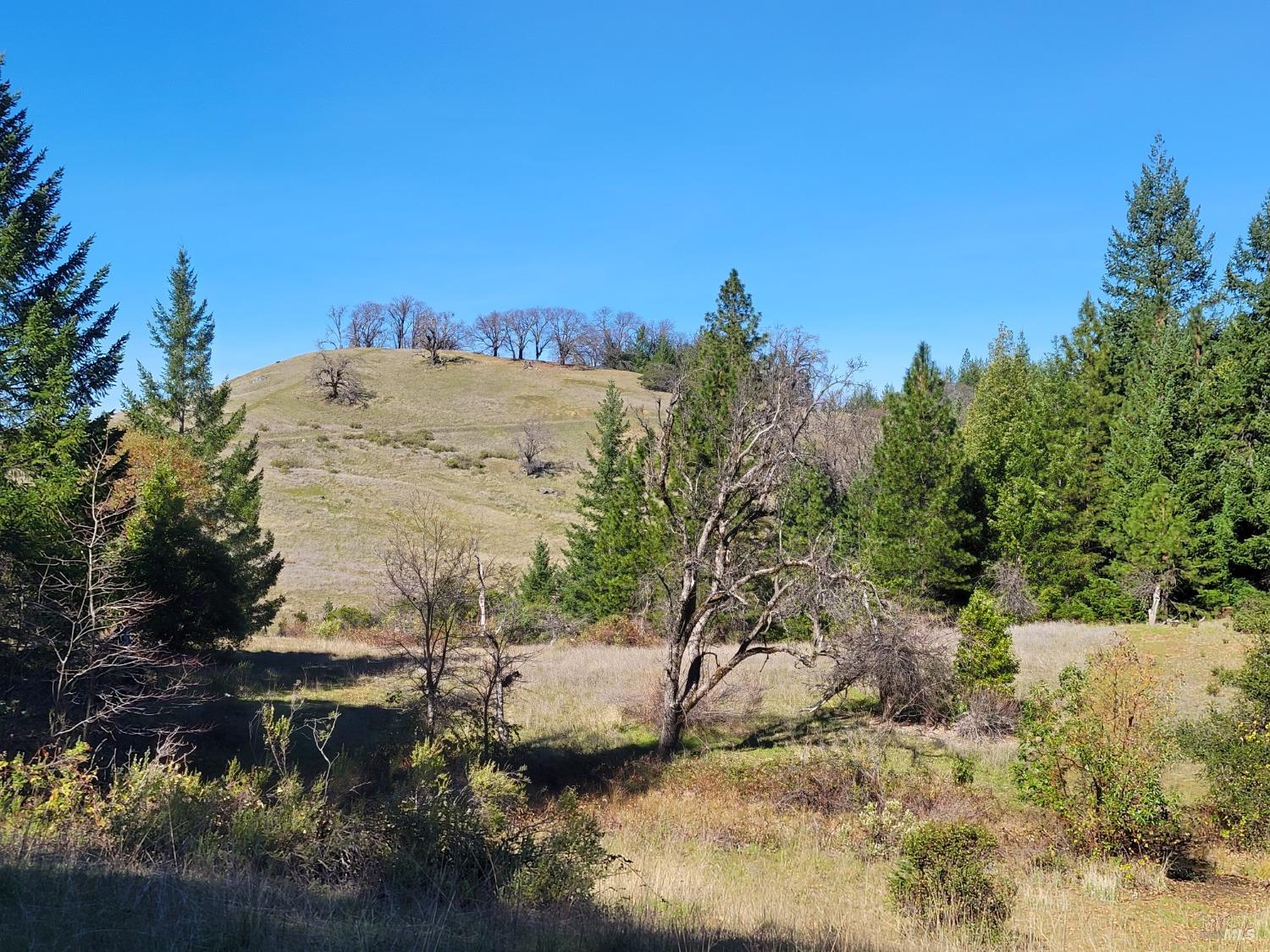 43281 Covelo Road Willits CA 95490