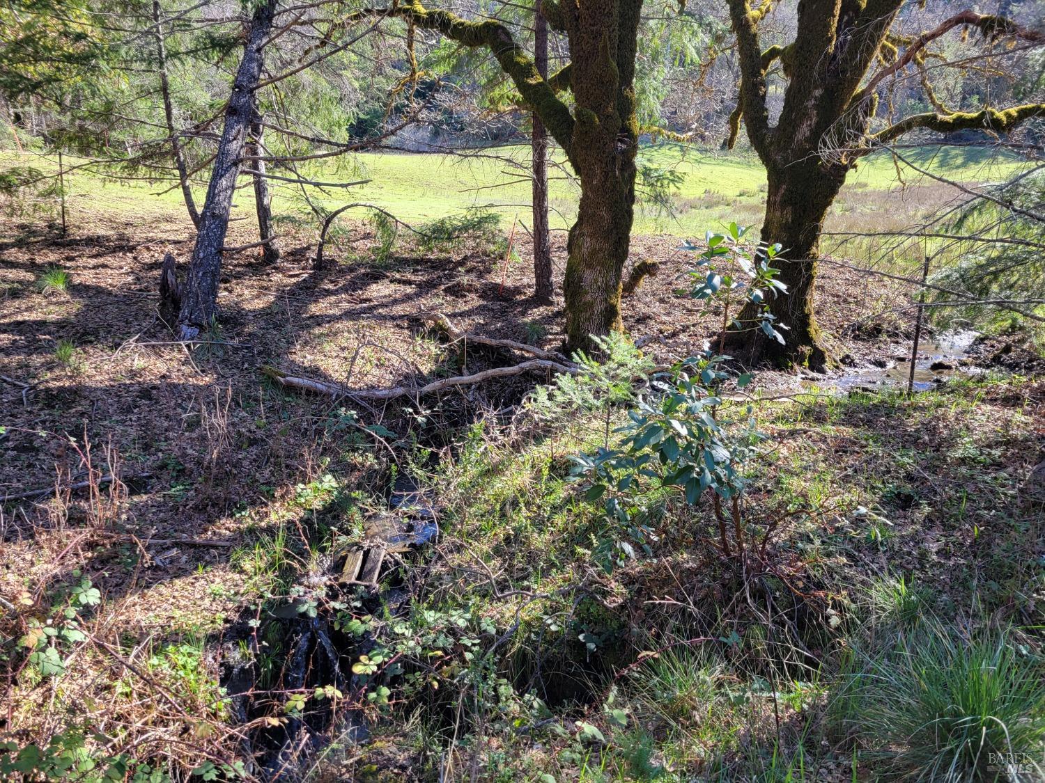 43281 Covelo Road Willits CA 95490