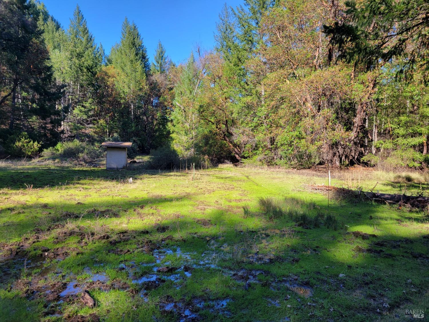 43281 Covelo Road Willits CA 95490