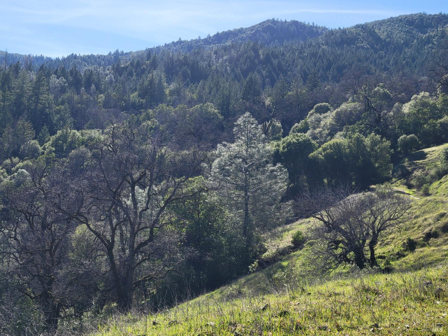 43281 Covelo Road Willits CA 95490