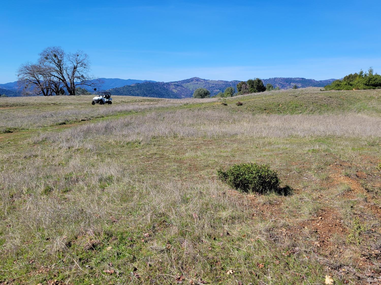 43281 Covelo Road Willits CA 95490
