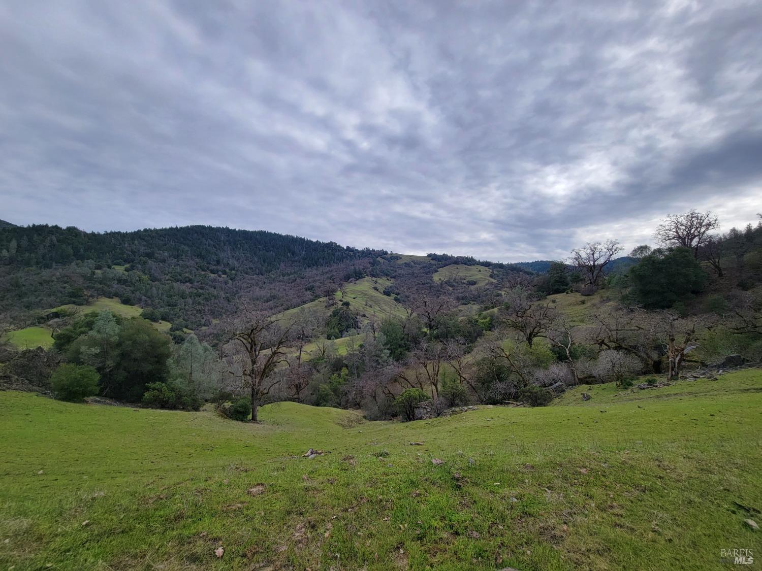 43281 Covelo Road Willits CA 95490
