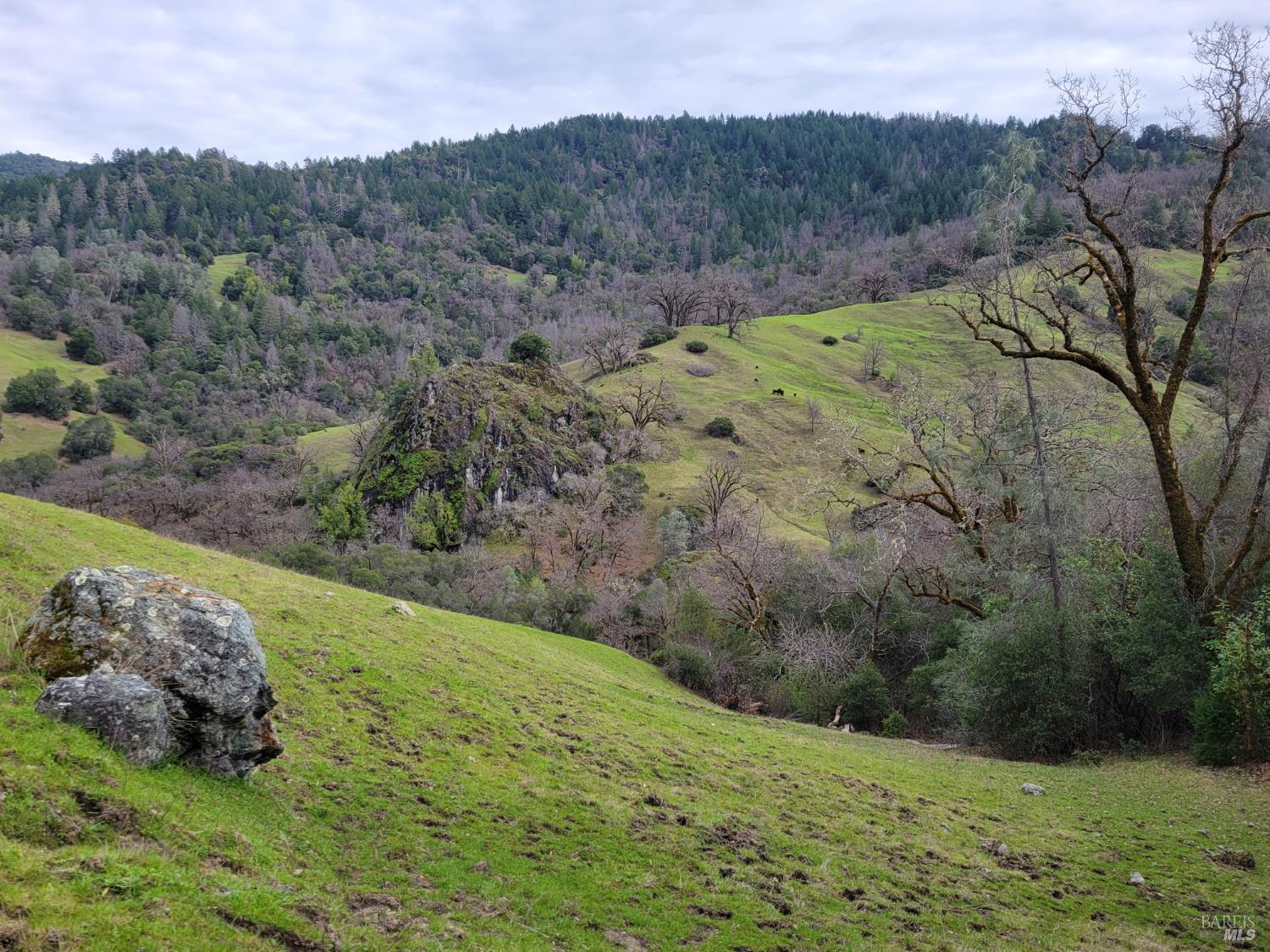 43281 Covelo Road Willits CA 95490
