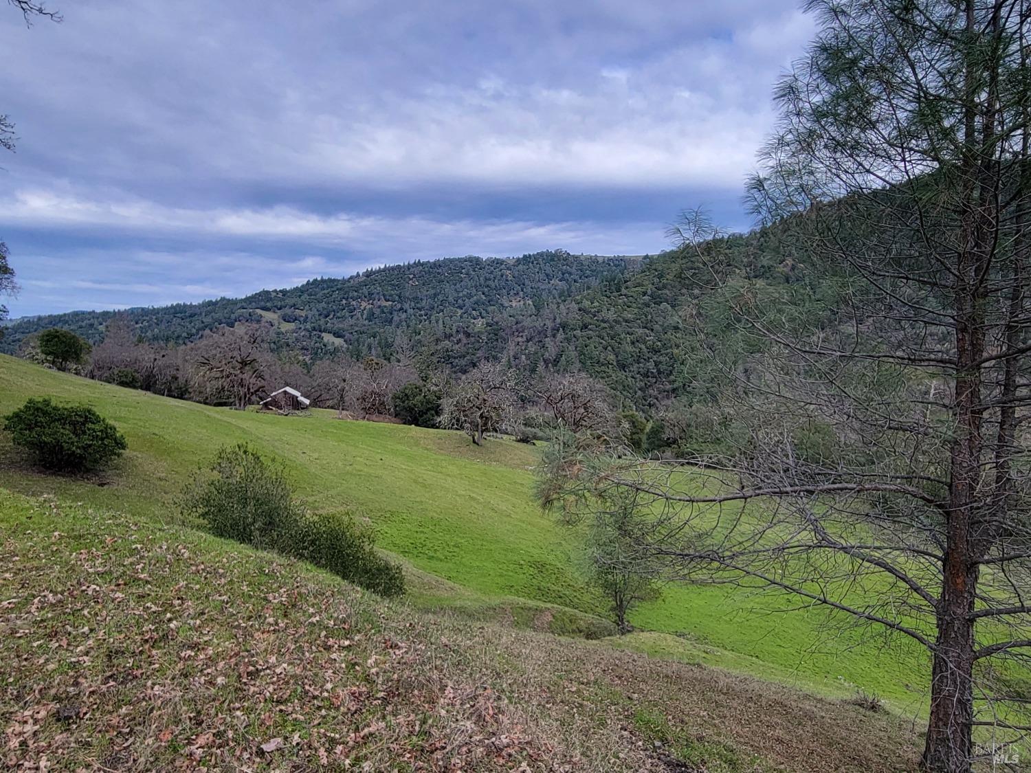 43281 Covelo Road Willits CA 95490