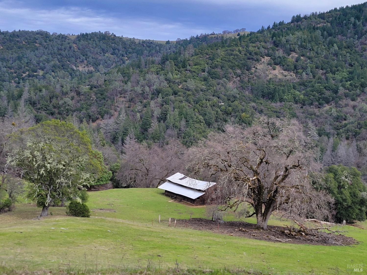 43281 Covelo Road Willits CA 95490