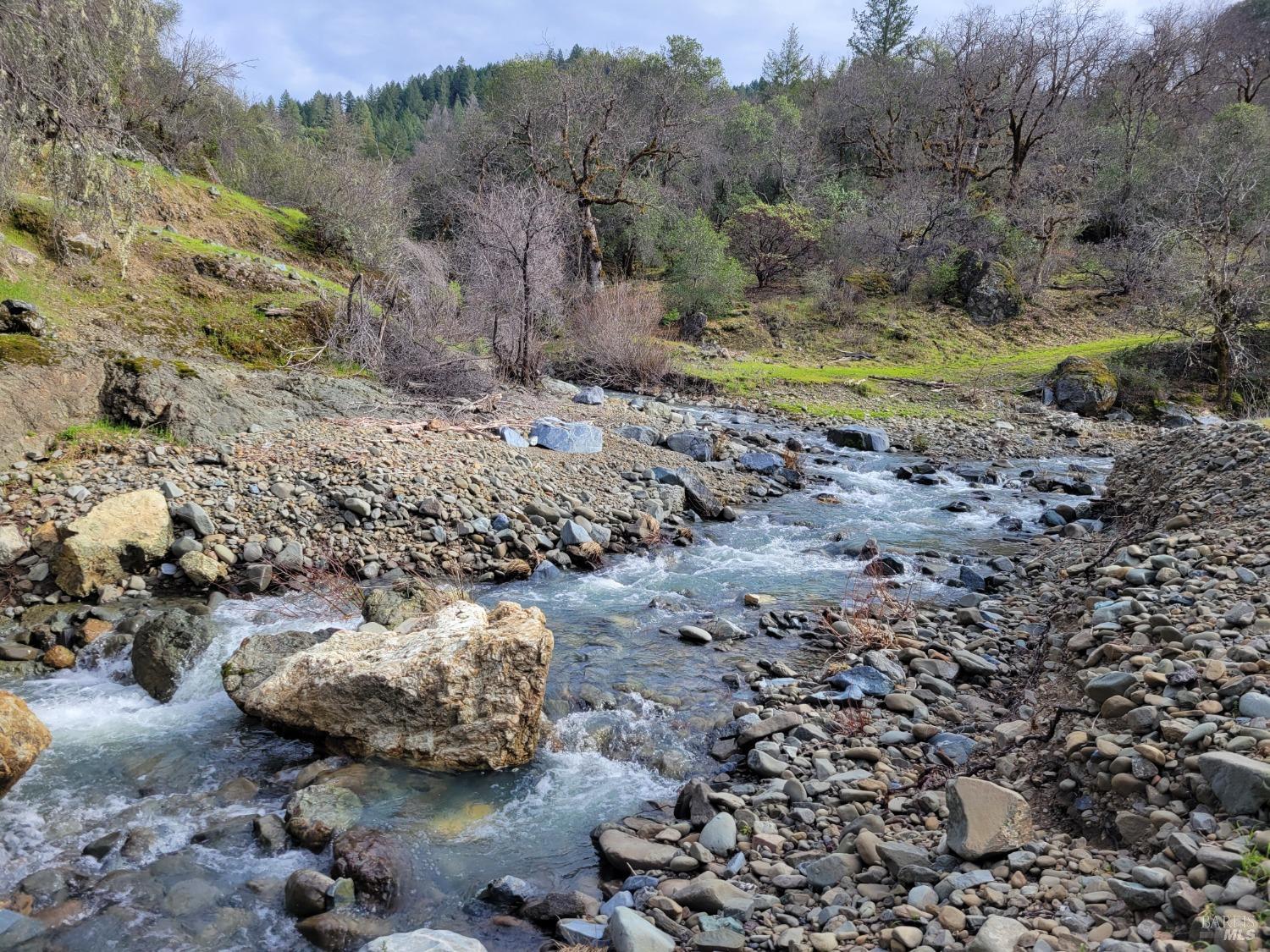 43281 Covelo Road Willits CA 95490