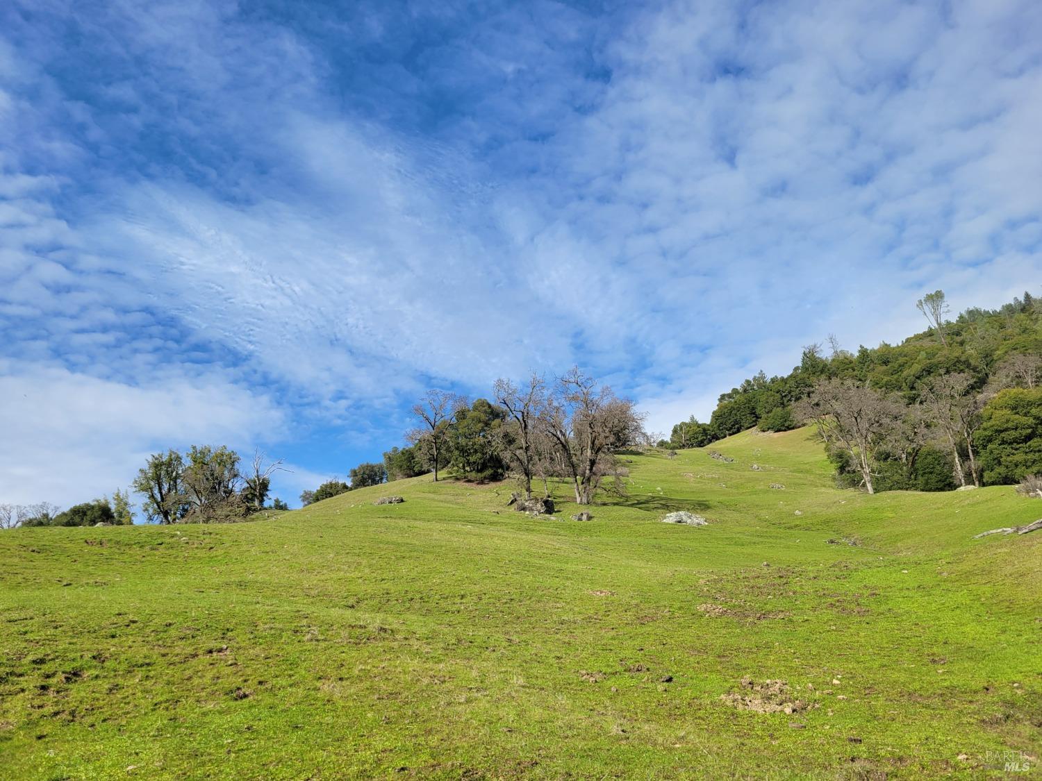 43281 Covelo Road Willits CA 95490