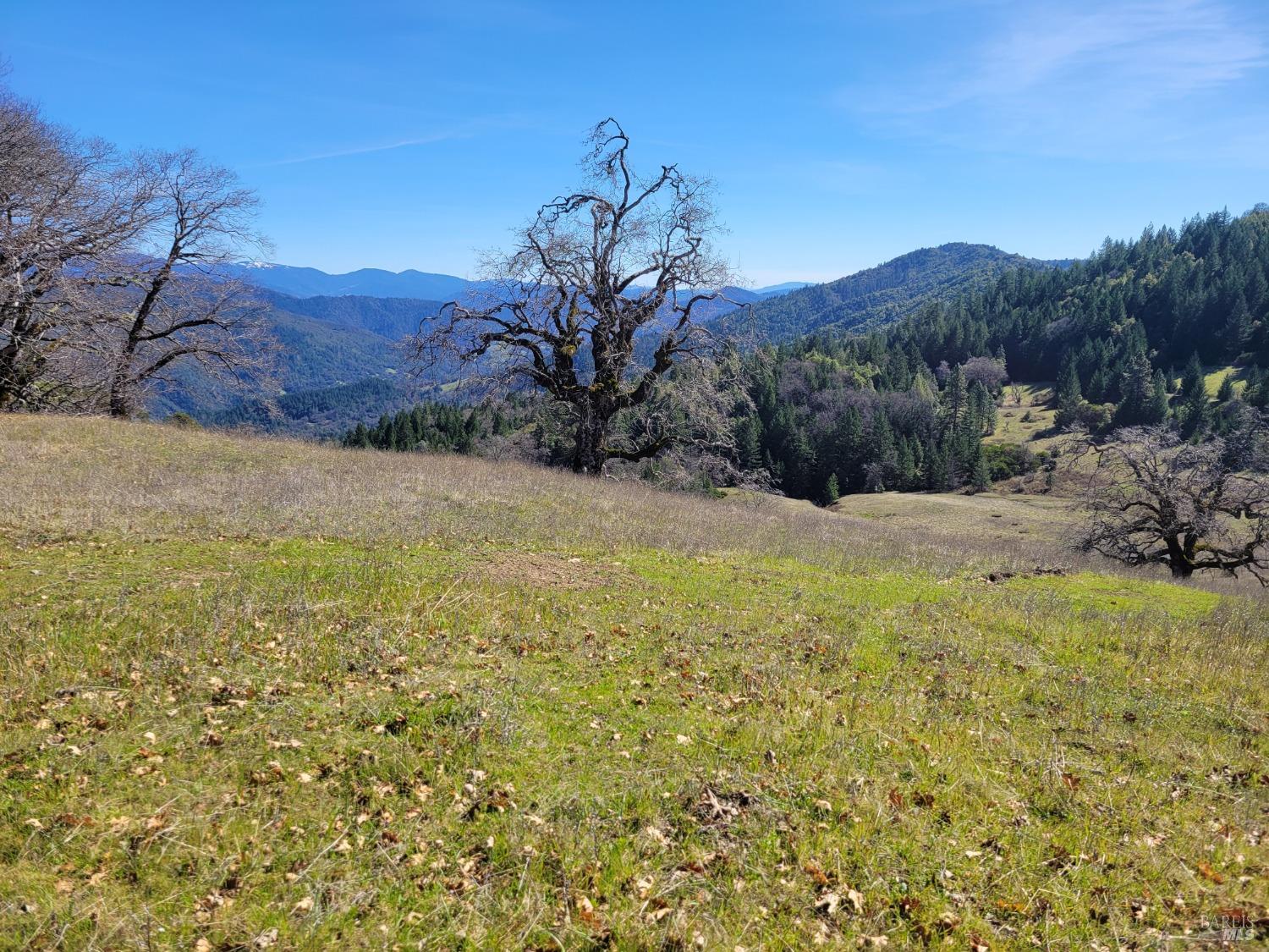 43281 Covelo Road Willits CA 95490