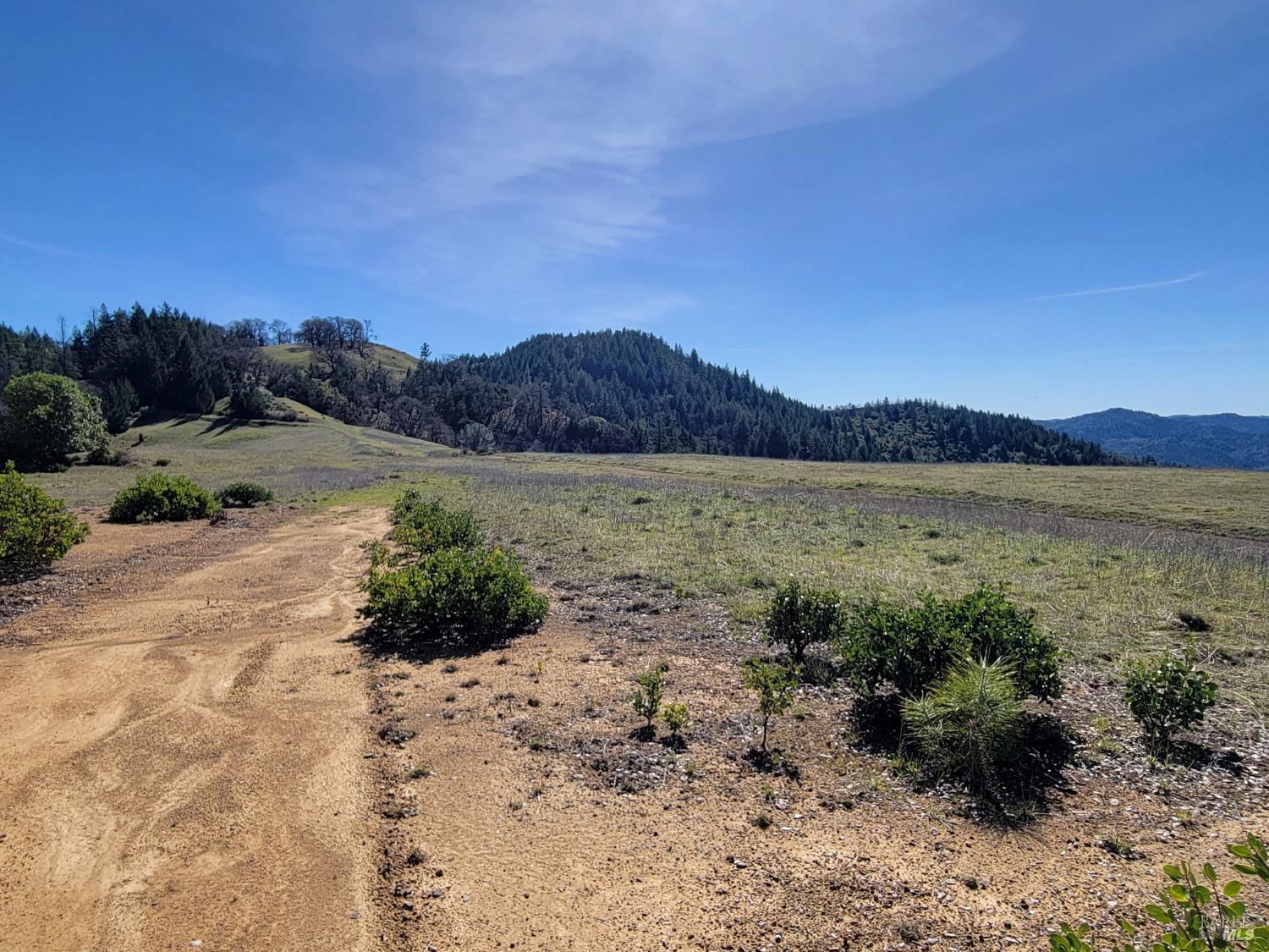 43281 Covelo Road Willits CA 95490