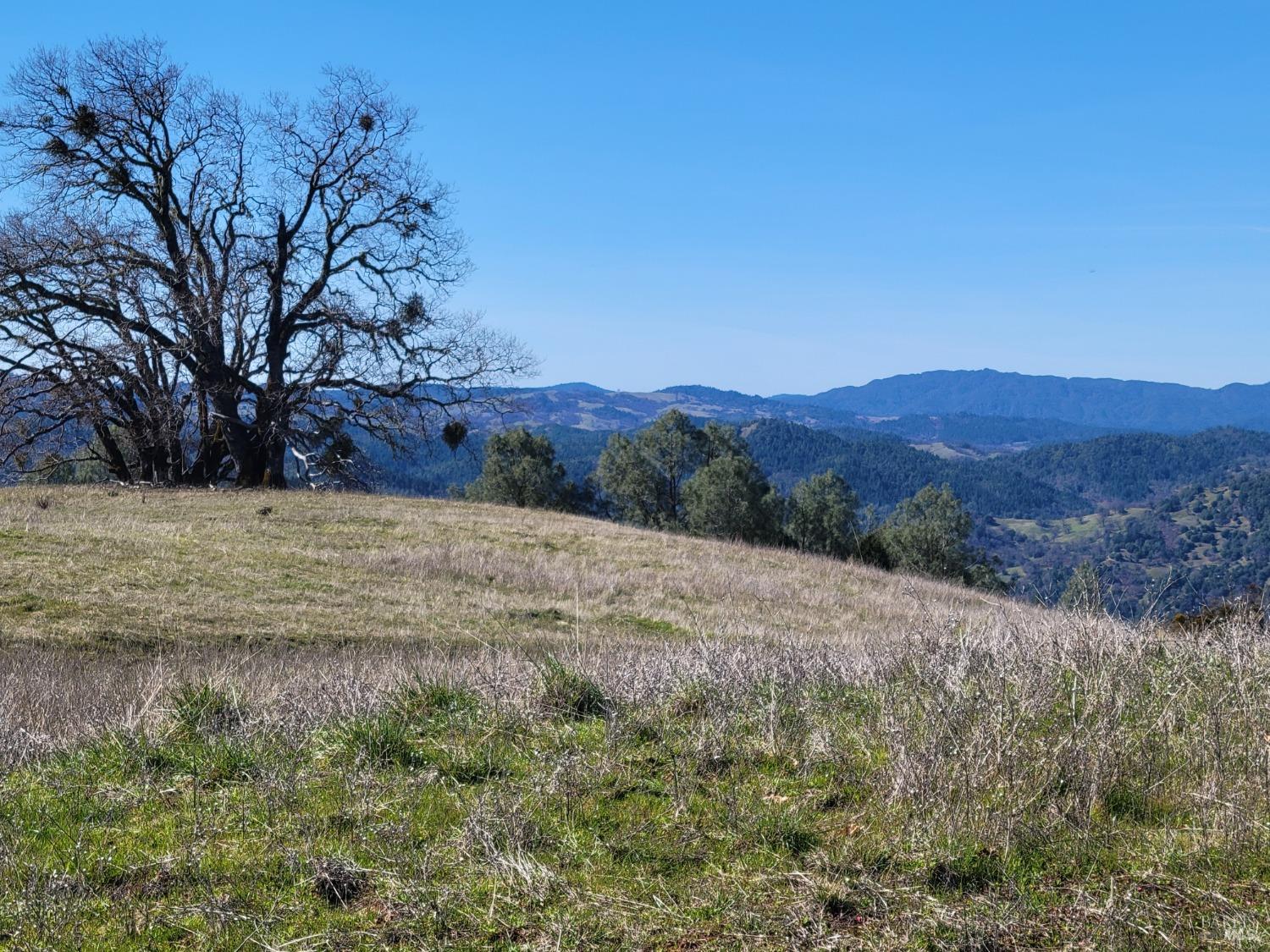 43281 Covelo Road Willits CA 95490