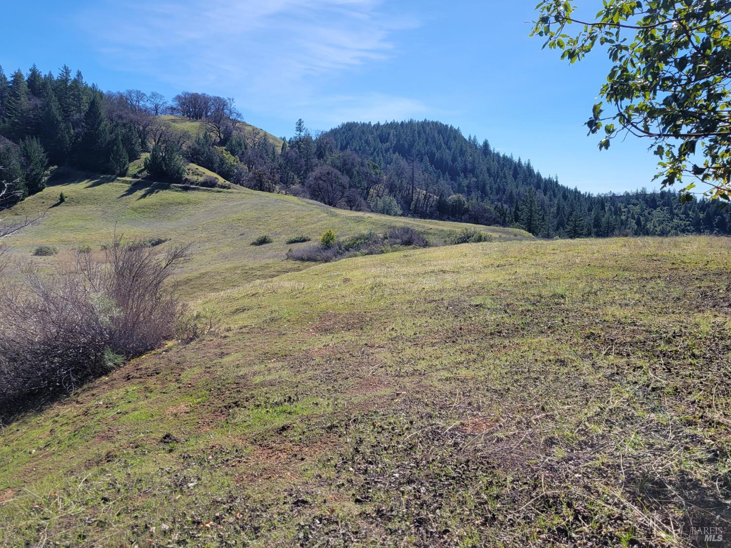 43281 Covelo Road Willits CA 95490