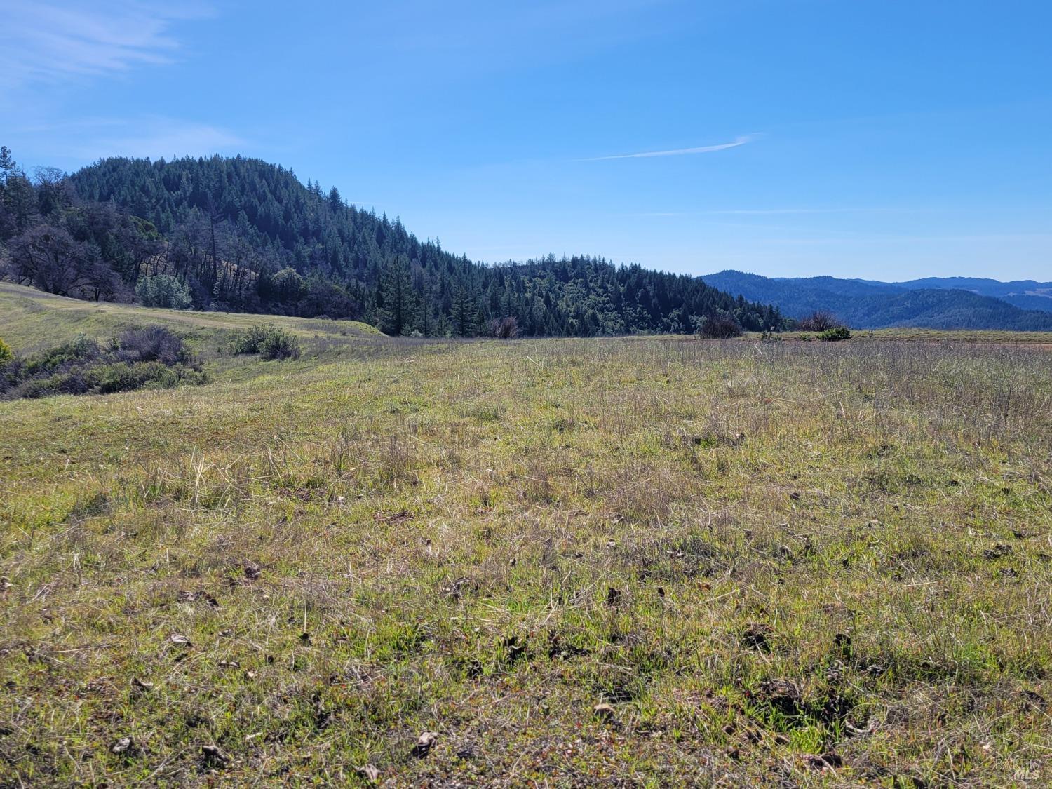 43281 Covelo Road Willits CA 95490