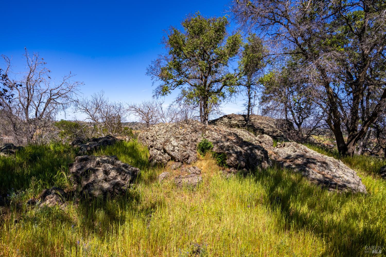 3874 Ciarlo Lane Vacaville CA 95688