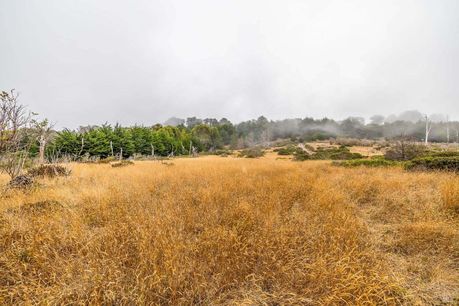 2250 N Highway 1 Albion CA 95410