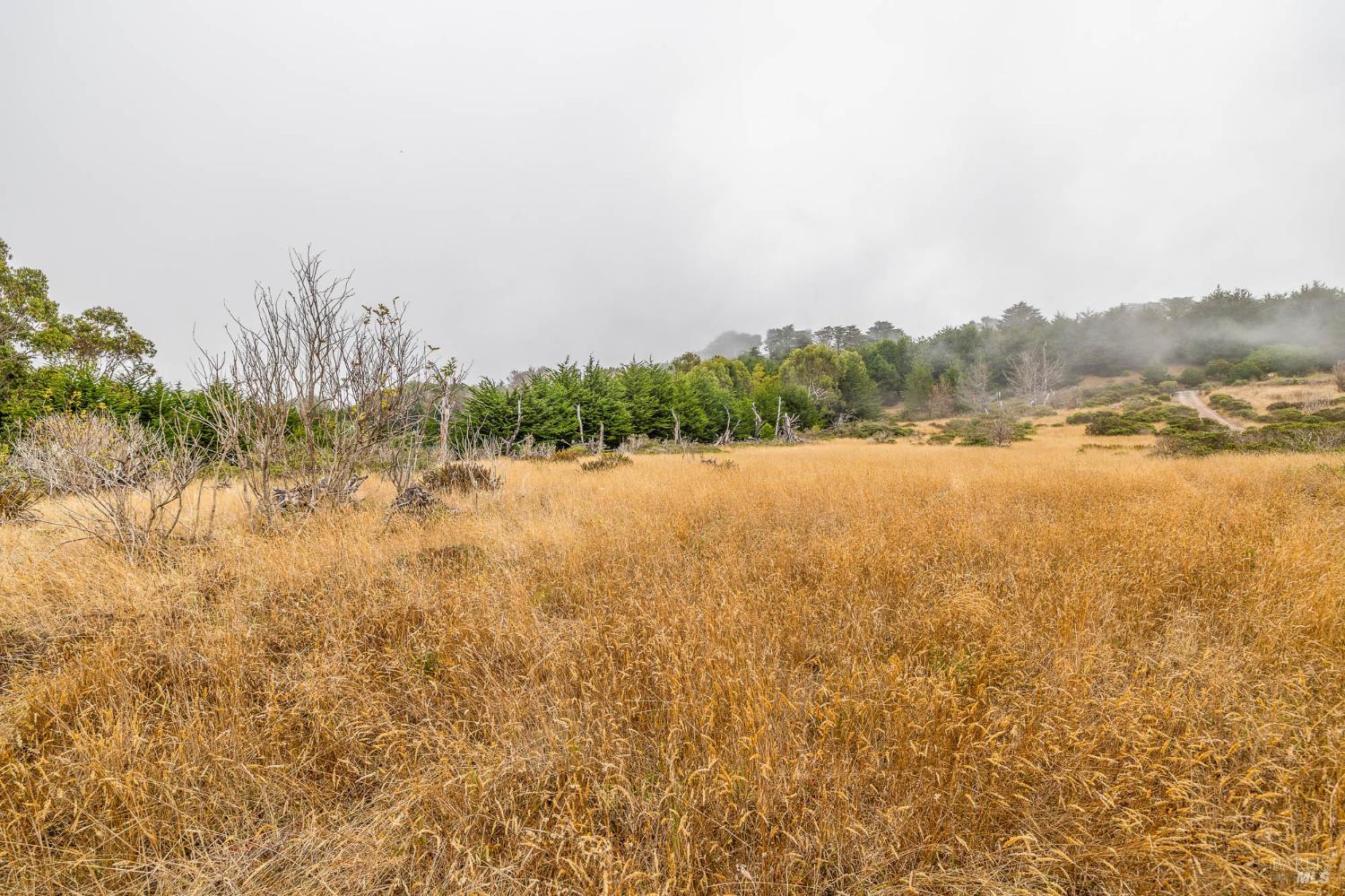 2250 N Highway 1 Albion CA 95410