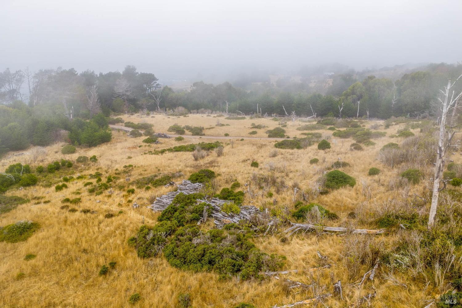 2250 N Highway 1 Albion CA 95410