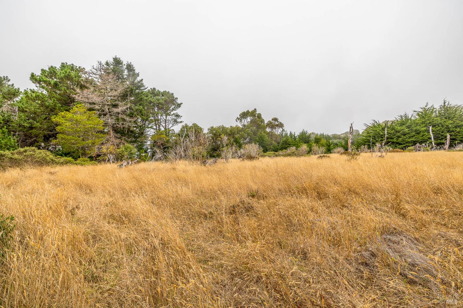 2250 N Highway 1 Albion CA 95410