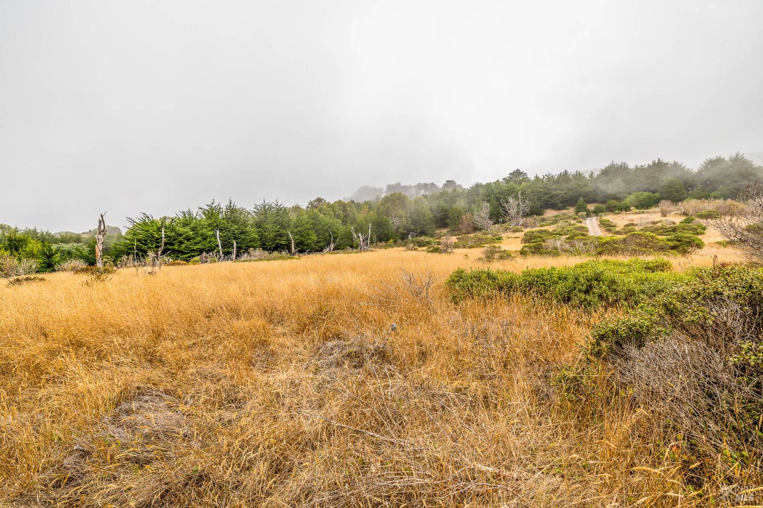 2250 N Highway 1 Albion CA 95410