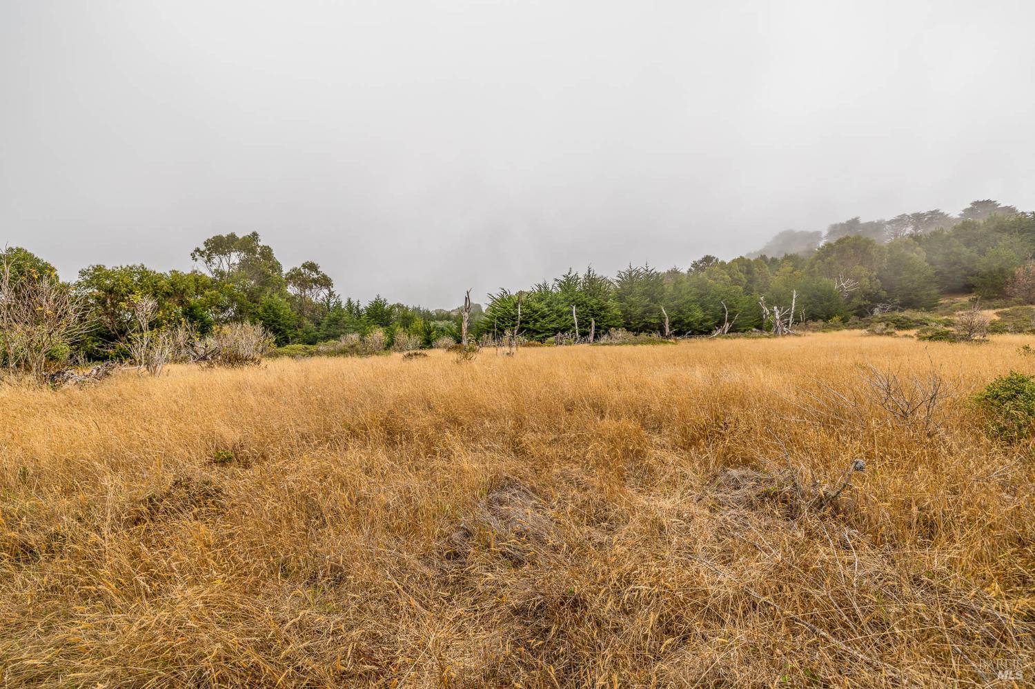 2250 N Highway 1 Albion CA 95410