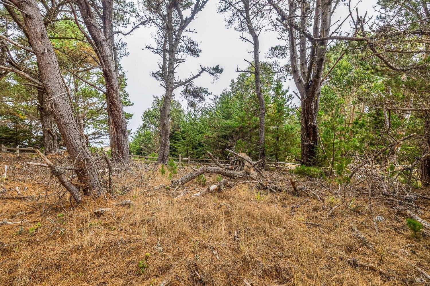 2250 N Highway 1 Albion CA 95410