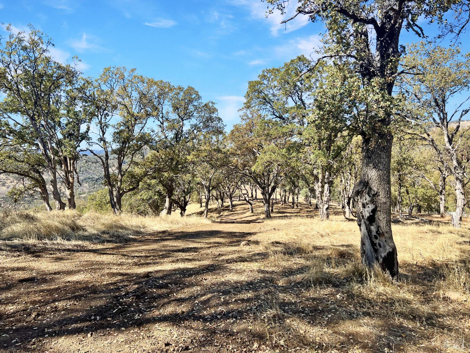 20560 Solar Ridge Road Lower Lake CA 95457