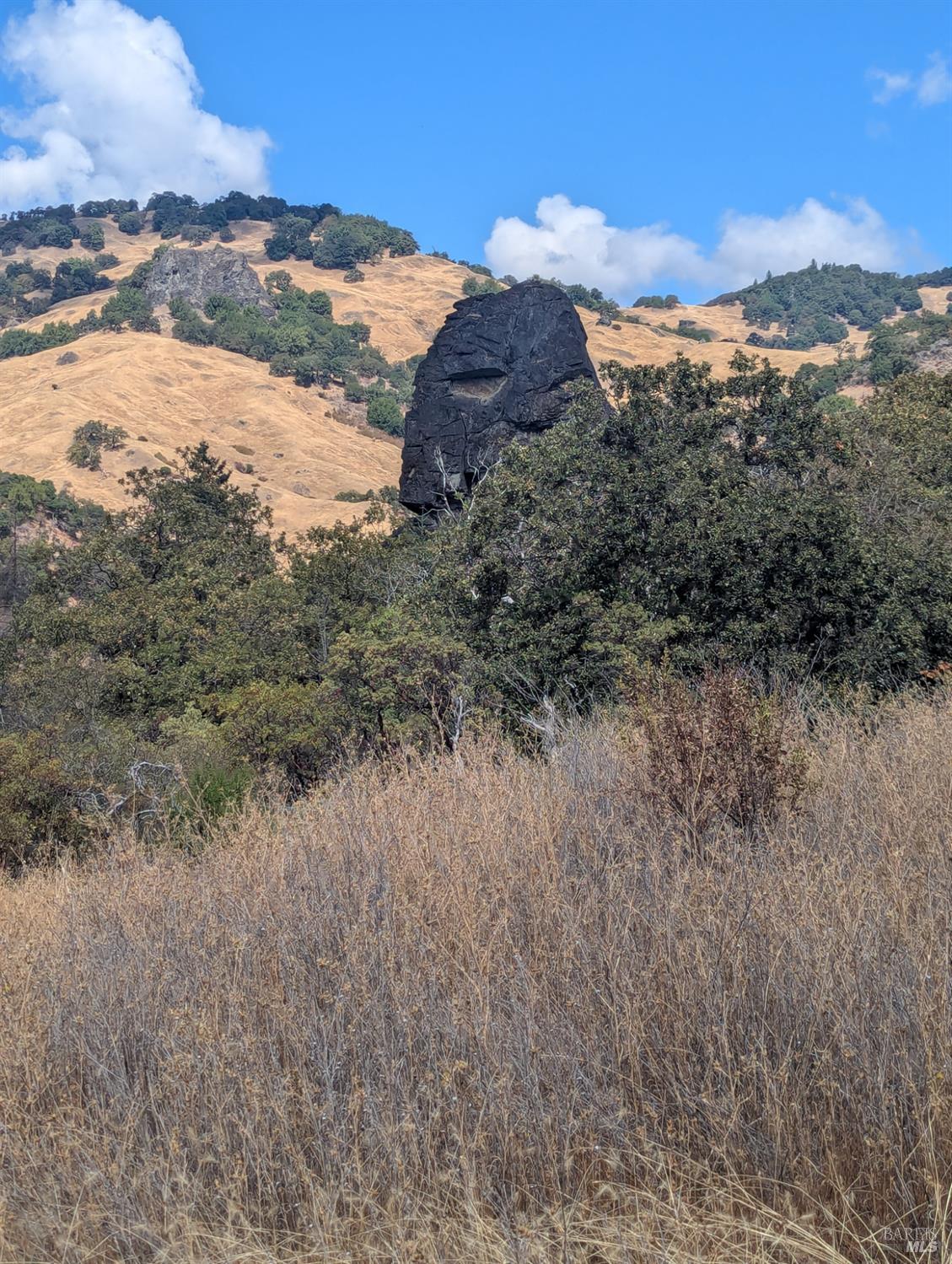 59002 George Washington Rock Road Leggett CA 95585