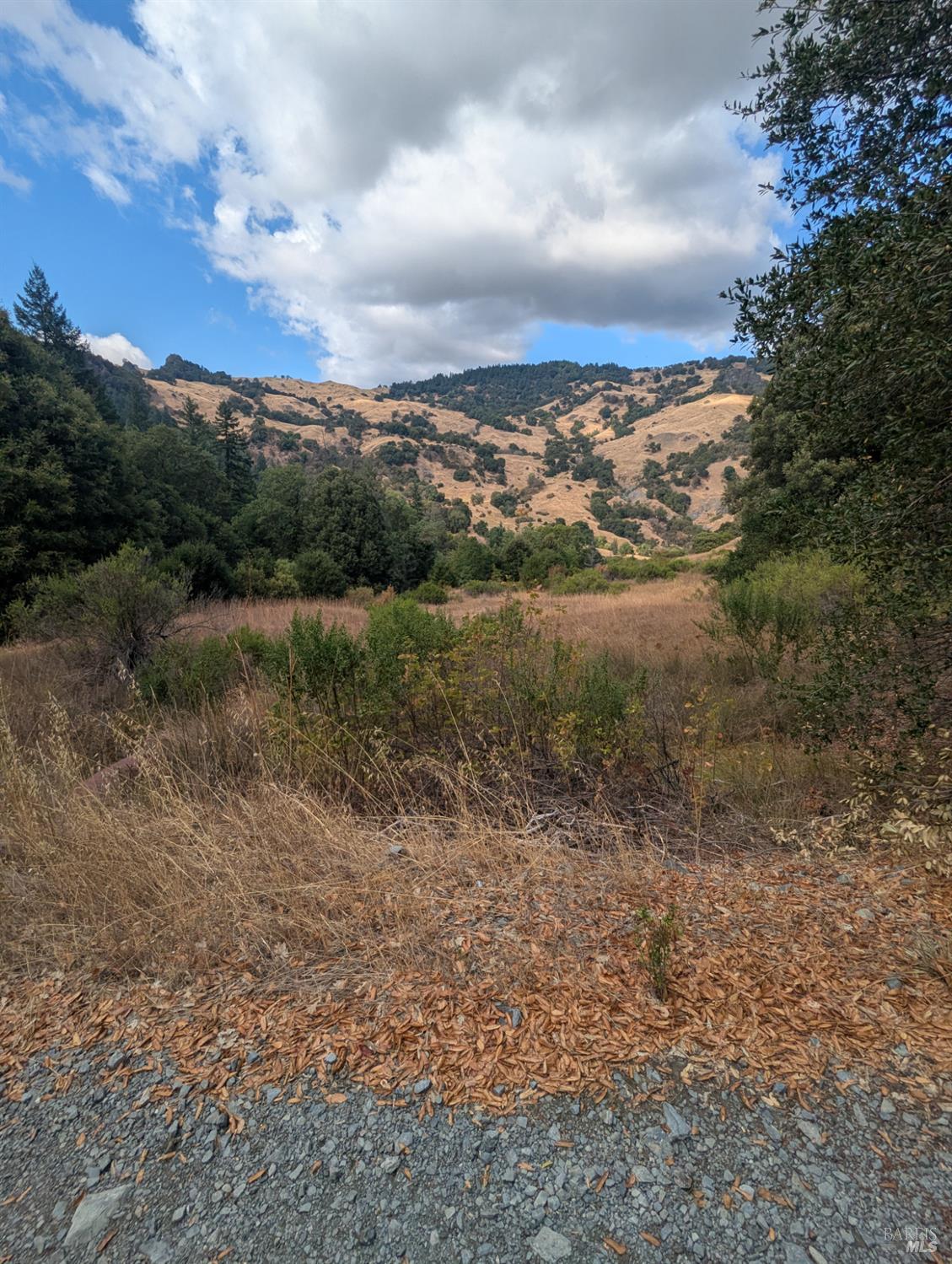 59002 George Washington Rock Road Leggett CA 95585