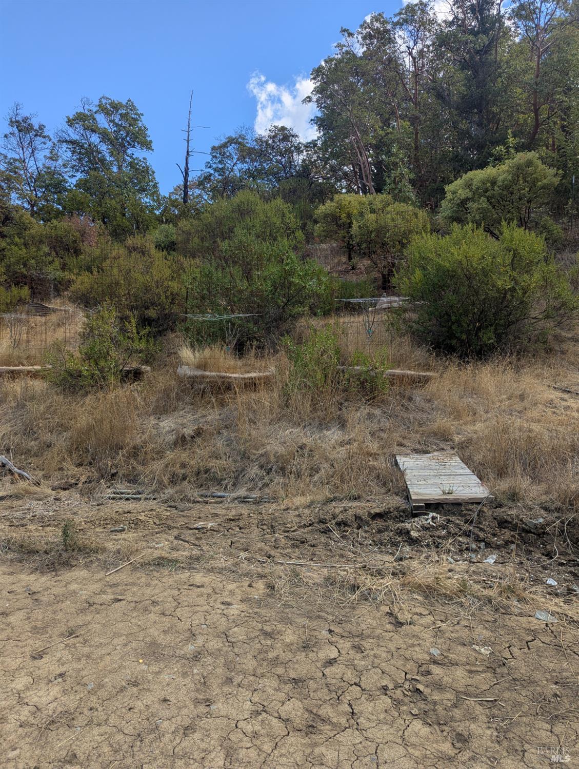 59002 George Washington Rock Road Leggett CA 95585
