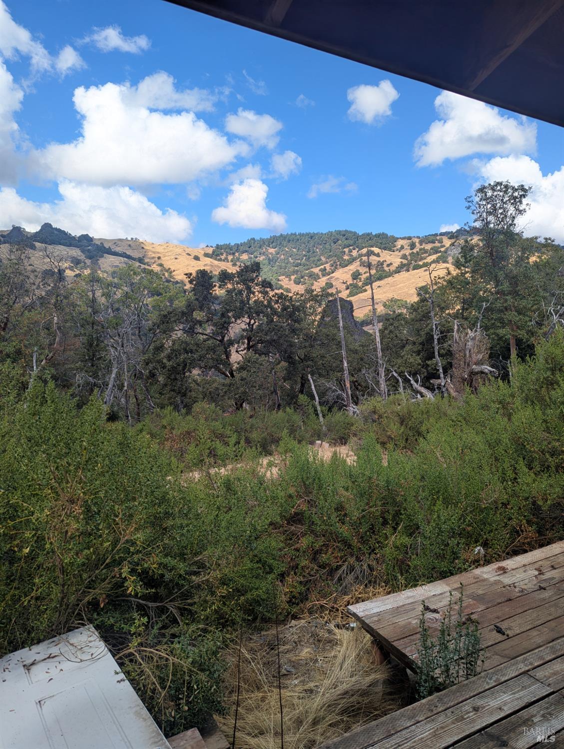 59002 George Washington Rock Road Leggett CA 95585