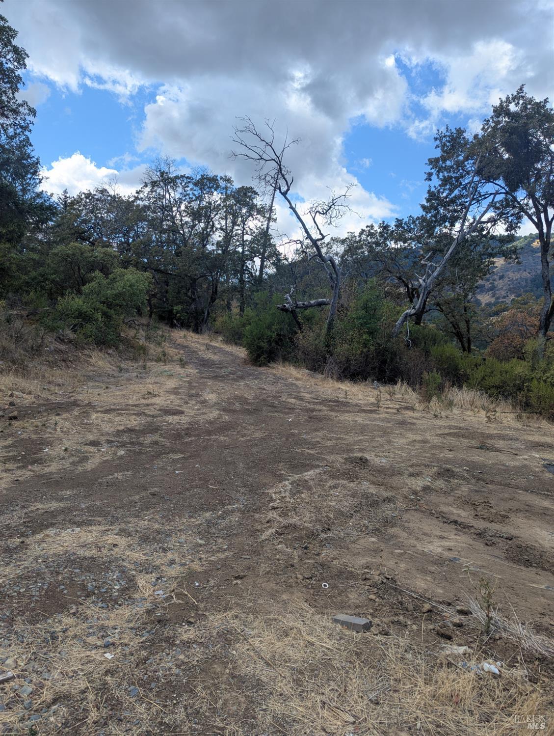59002 George Washington Rock Road Leggett CA 95585