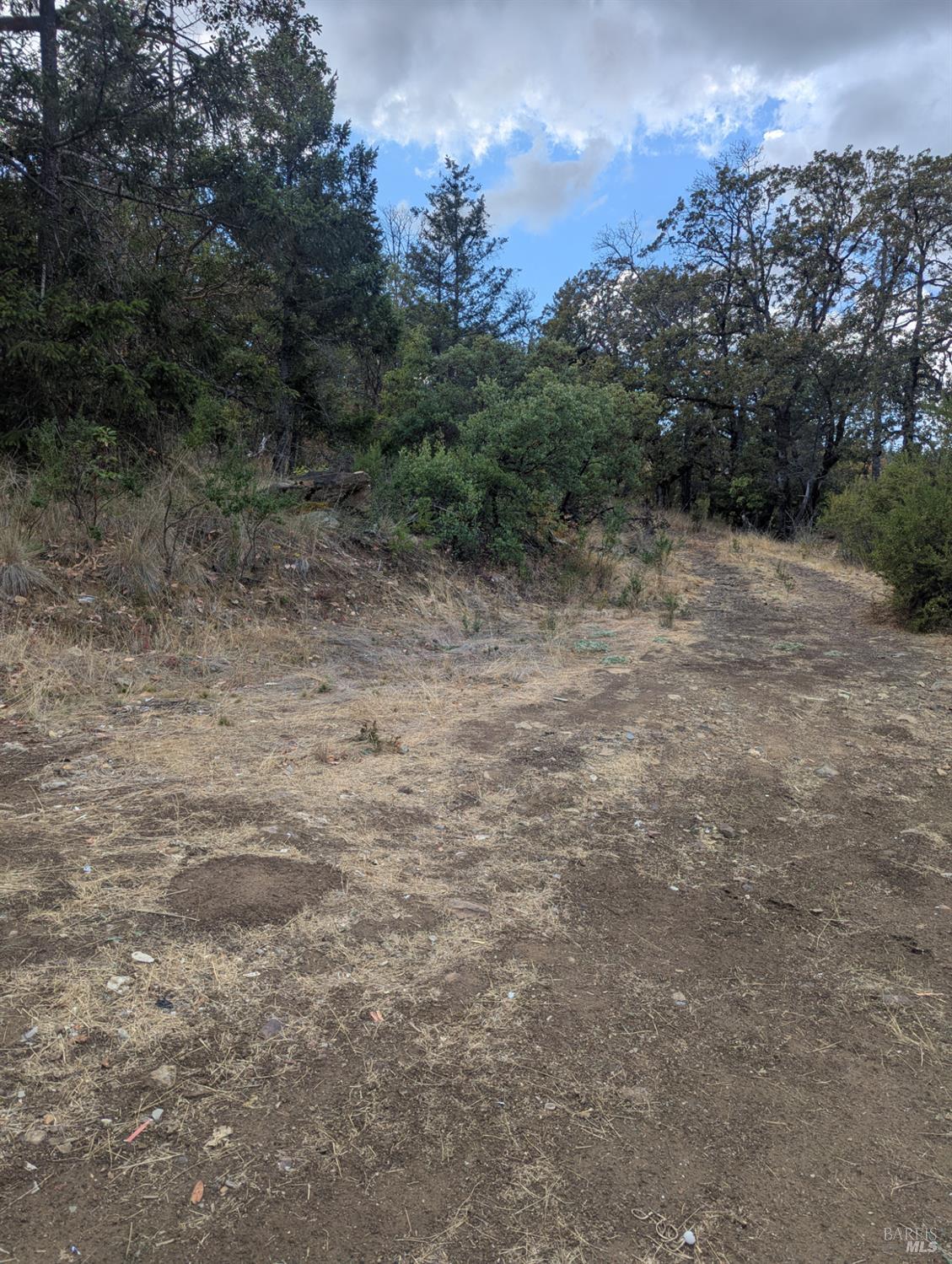 59002 George Washington Rock Road Leggett CA 95585