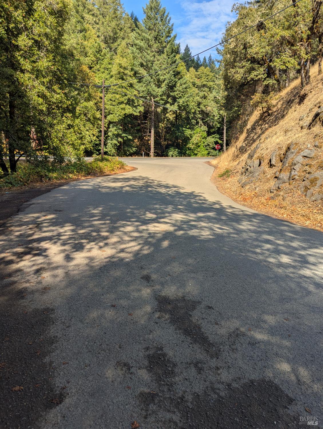 59002 George Washington Rock Road Leggett CA 95585