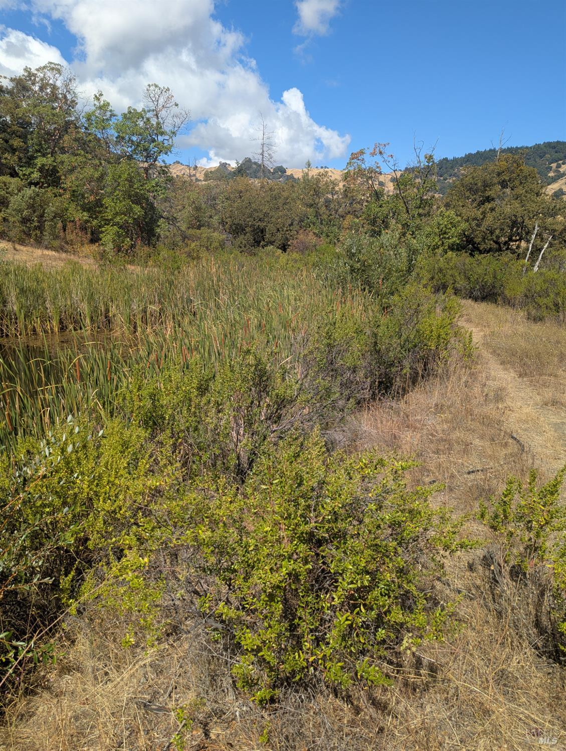 59002 George Washington Rock Road Leggett CA 95585
