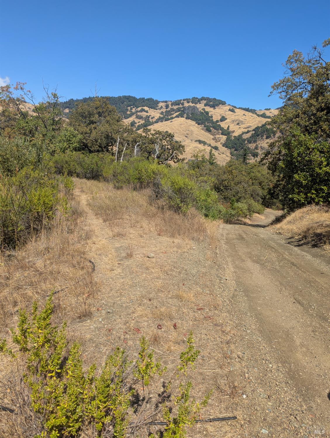 59002 George Washington Rock Road Leggett CA 95585