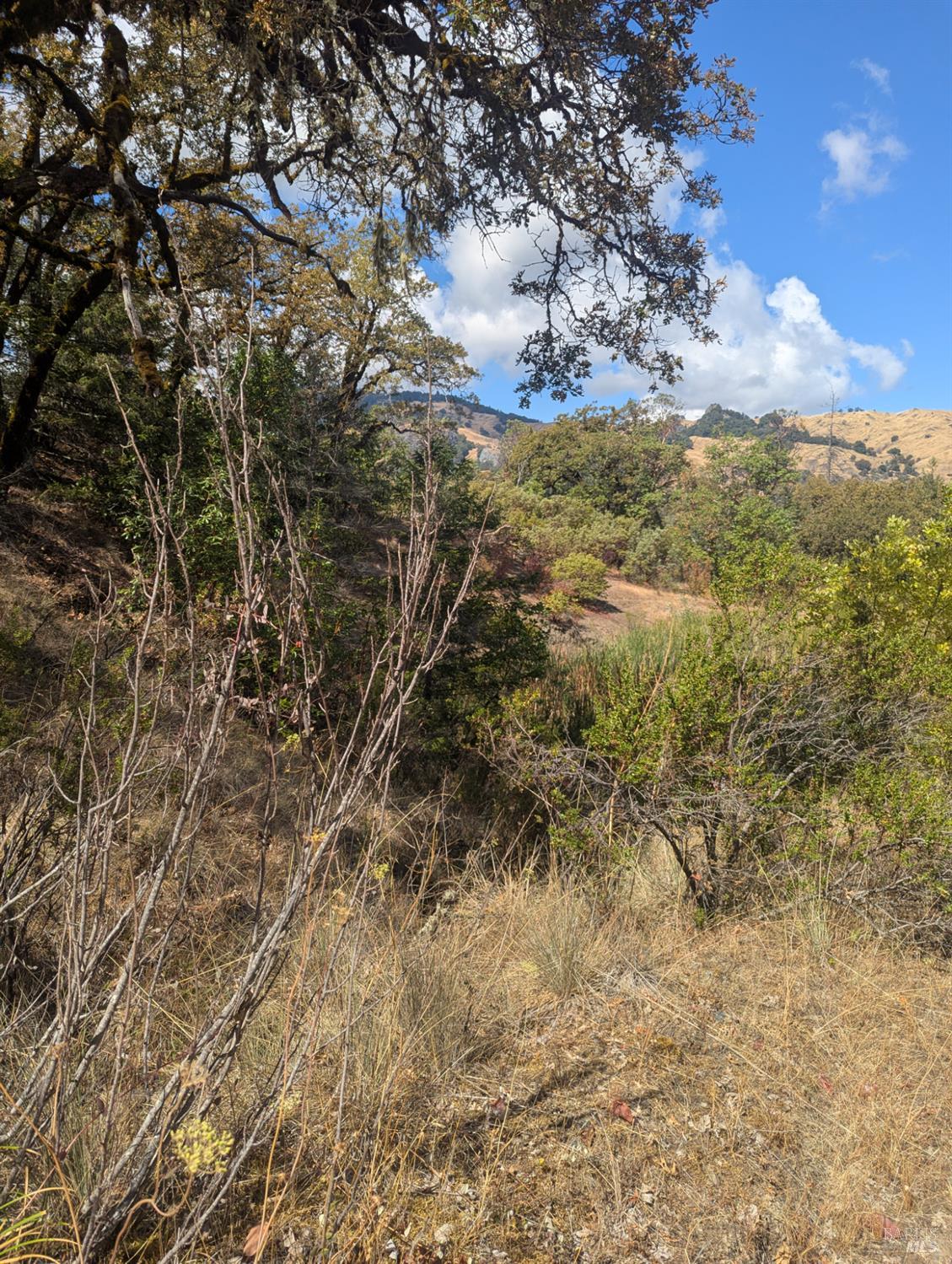 59002 George Washington Rock Road Leggett CA 95585