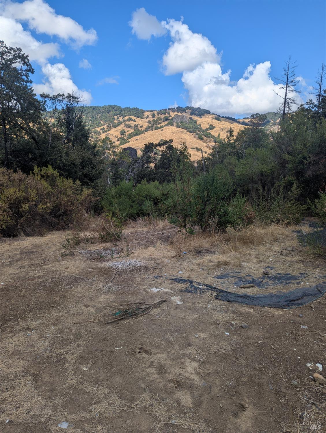 59002 George Washington Rock Road Leggett CA 95585