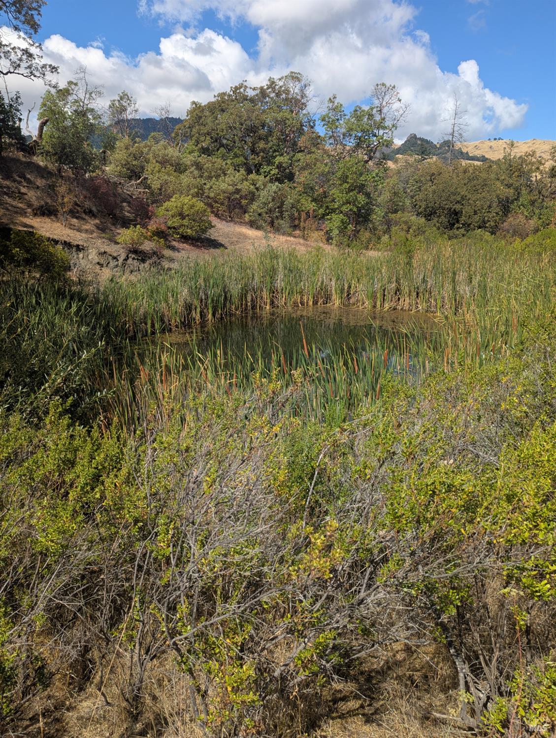 59002 George Washington Rock Road Leggett CA 95585