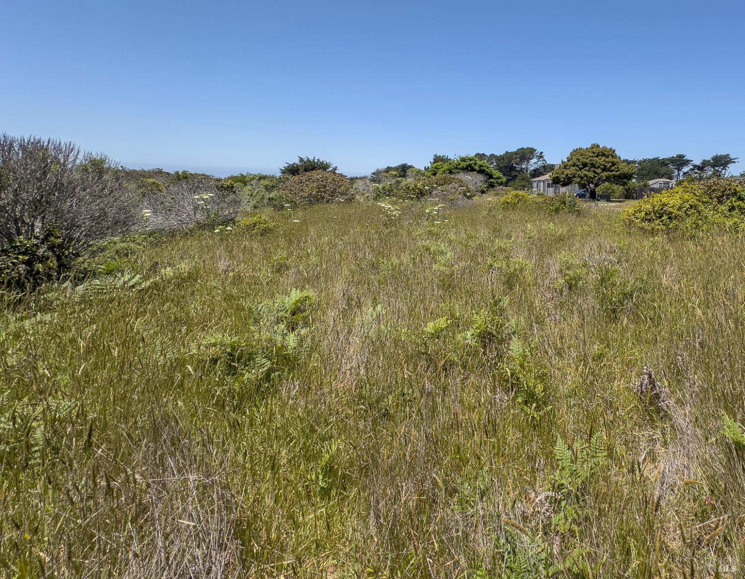 56 Sea Meadow Drive The Sea Ranch CA 95497