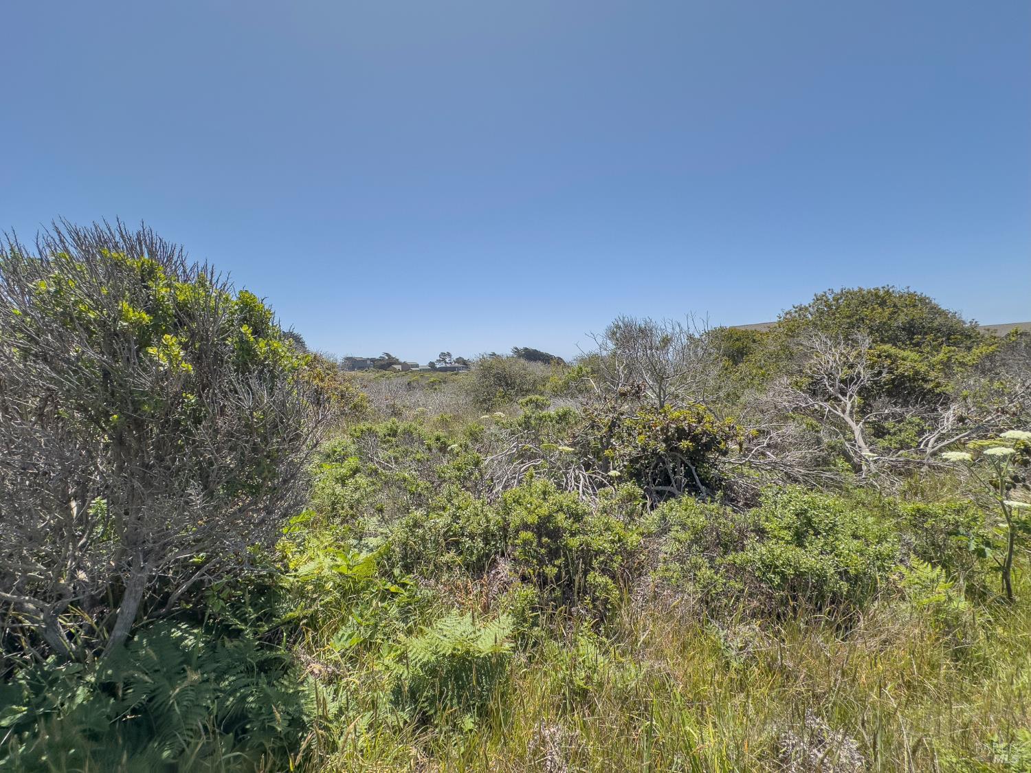 56 Sea Meadow Drive The Sea Ranch CA 95497