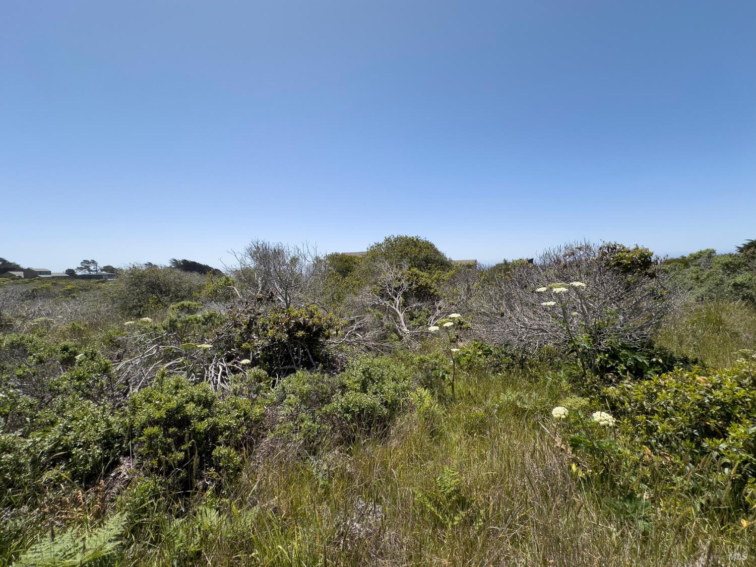 56 Sea Meadow Drive The Sea Ranch CA 95497